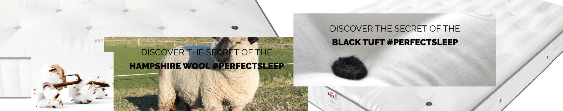 Millbrook Widebanner